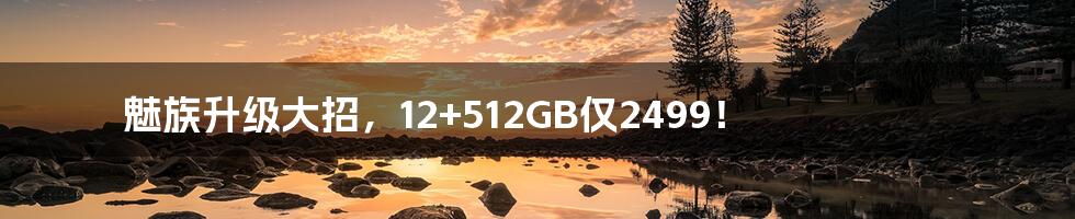 魅族升级大招,12+512GB仅2499!