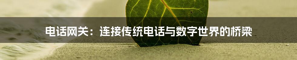 电话网关:连接传统电话与数字世界的桥梁