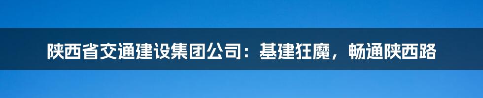 陕西省交通建设集团公司:基建狂魔,畅通陕西路