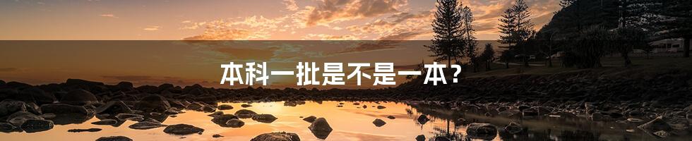 本科一批是不是一本?