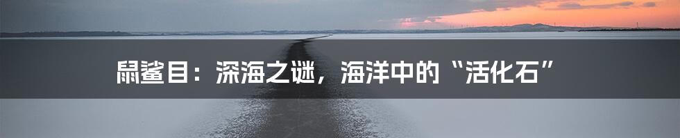 鼠鲨目:深海之谜,海洋中的“活化石”