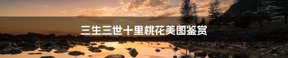 三生三世十里桃花美图鉴赏