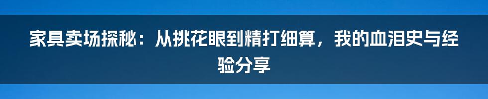 家具卖场探秘:从挑花眼到精打细算,我的血泪史与经验分享