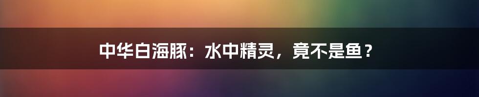 中华白海豚:水中精灵,竟不是鱼?