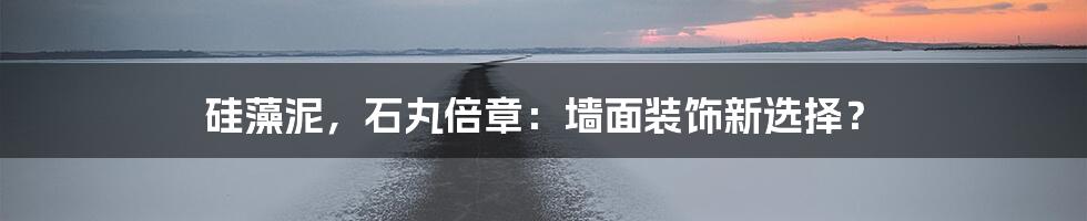 硅藻泥,石丸倍章:墙面装饰新选择?
