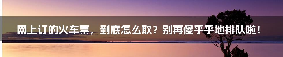 网上订的火车票,到底怎么取?别再傻乎乎地排队啦!