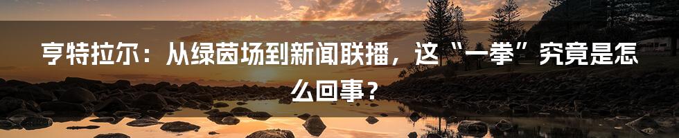 亨特拉尔:从绿茵场到新闻联播,这“一拳”究竟是怎么回事?