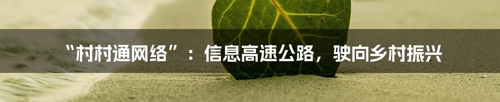 “村村通网络”:信息高速公路,驶向乡村振兴