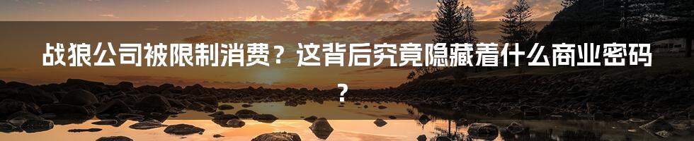 战狼公司被限制消费?这背后究竟隐藏着什么商业密码?