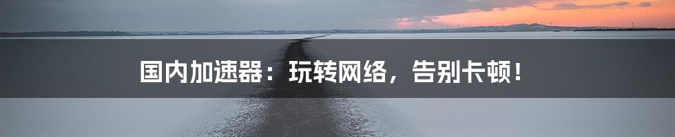 国内加速器:玩转网络,告别卡顿!