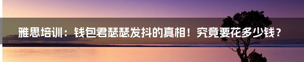 雅思培训:钱包君瑟瑟发抖的真相!究竟要花多少钱?
