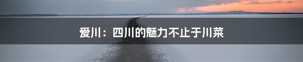 爱川:四川的魅力不止于川菜