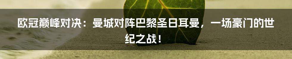 欧冠巅峰对决:曼城对阵巴黎圣日耳曼,一场豪门的世纪之战!