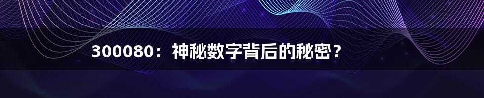 300080:神秘数字背后的秘密?