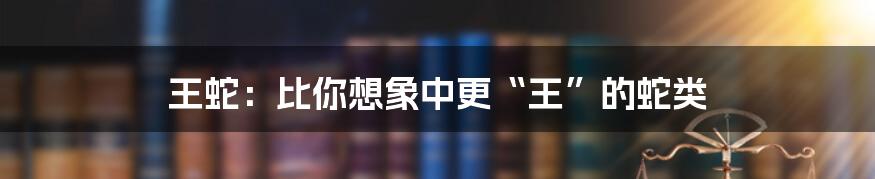 王蛇:比你想象中更“王”的蛇类