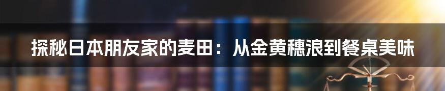 探秘日本朋友家的麦田:从金黄穗浪到餐桌美味