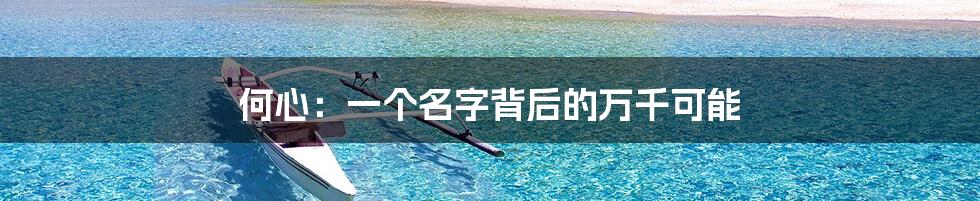 何心:一个名字背后的万千可能