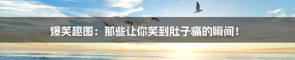 爆笑趣图:那些让你笑到肚子痛的瞬间!