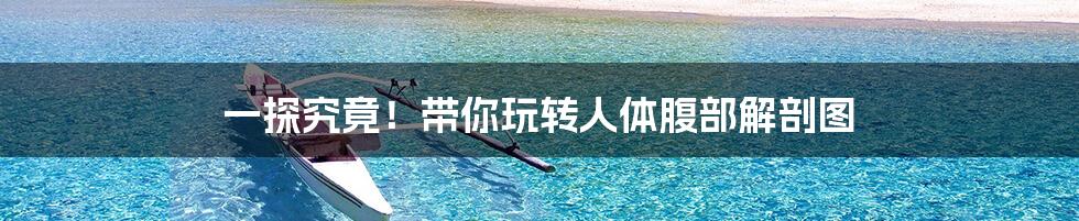 一探究竟!带你玩转人体腹部解剖图