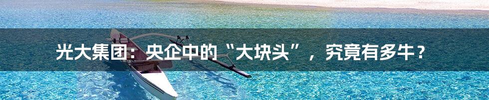 光大集团:央企中的“大块头”,究竟有多牛?