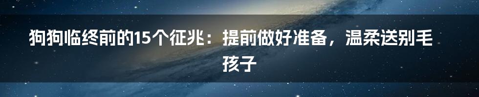 狗狗临终前的15个征兆:提前做好准备,温柔送别毛孩子