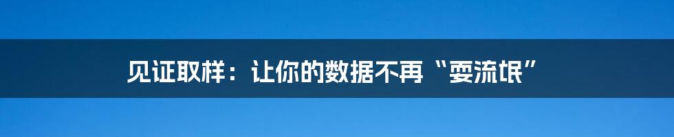 见证取样:让你的数据不再“耍流氓”