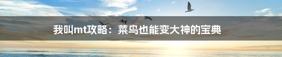 我叫mt攻略:菜鸟也能变大神的宝典