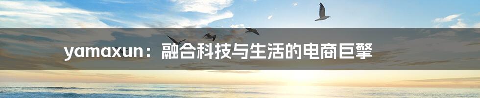 yamaxun:融合科技与生活的电商巨擎