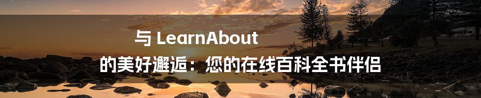 与 LearnAbout 的美好邂逅:您的在线百科全书伴侣