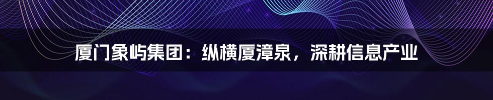 厦门象屿集团:纵横厦漳泉,深耕信息产业