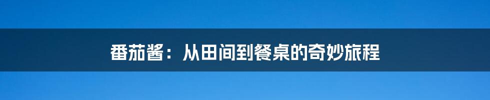 番茄酱:从田间到餐桌的奇妙旅程