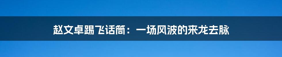 赵文卓踢飞话筒:一场风波的来龙去脉