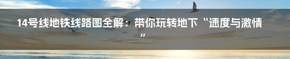 14号线地铁线路图全解:带你玩转地下“速度与激情”
