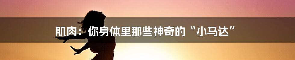 肌肉:你身体里那些神奇的“小马达”