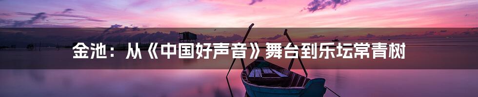金池:从《中国好声音》舞台到乐坛常青树