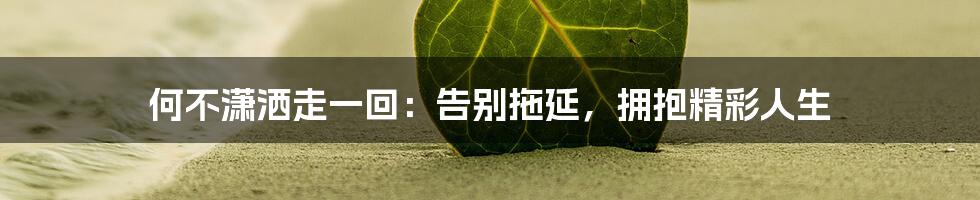 何不潇洒走一回:告别拖延,拥抱精彩人生
