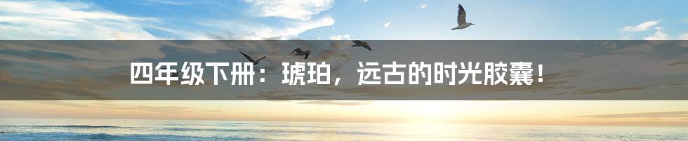 四年级下册:琥珀,远古的时光胶囊!