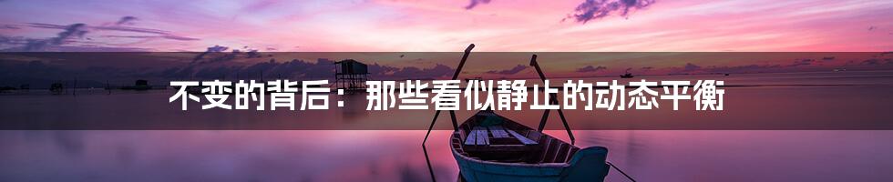 不变的背后:那些看似静止的动态平衡