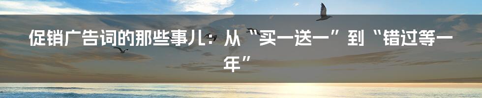 促销广告词的那些事儿:从“买一送一”到“错过等一年”