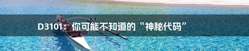 D3101:你可能不知道的“神秘代码”