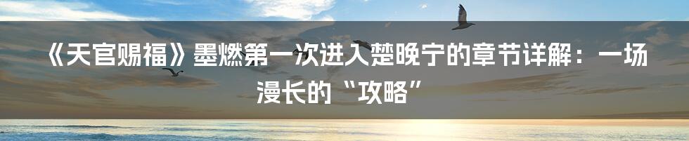 《天官赐福》墨燃第一次进入楚晚宁的章节详解:一场漫长的“攻略”