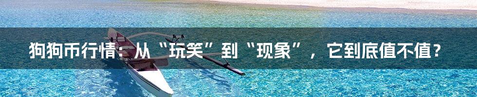 狗狗币行情:从“玩笑”到“现象”,它到底值不值?