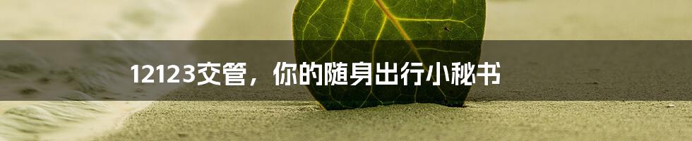 12123交管，你的随身出行小秘书