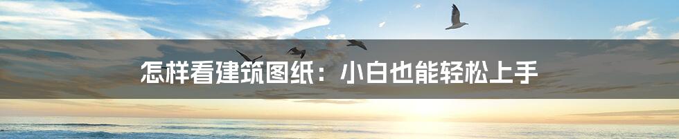 怎样看建筑图纸:小白也能轻松上手