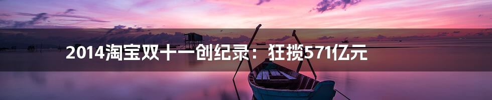 2014淘宝双十一创纪录:狂揽571亿元