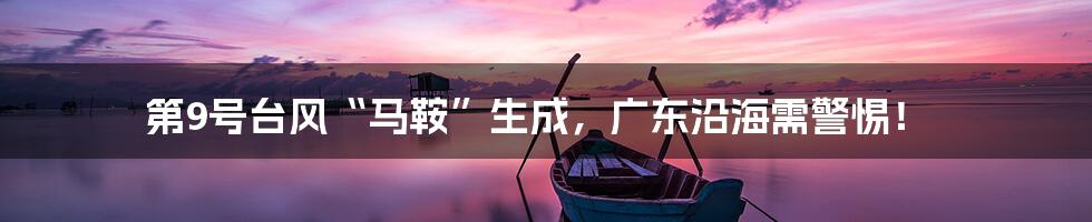 第9号台风“马鞍”生成,广东沿海需警惕!