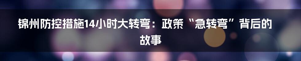 锦州防控措施14小时大转弯:政策“急转弯”背后的故事