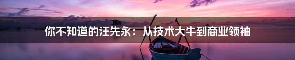 你不知道的汪先永:从技术大牛到商业领袖