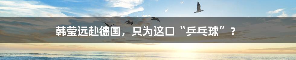 韩莹远赴德国,只为这口“乒乓球”?