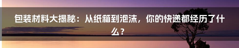 包装材料大揭秘:从纸箱到泡沫,你的快递都经历了什么?